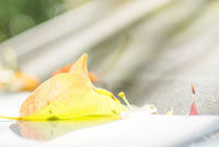 许多球员因 许多球员因