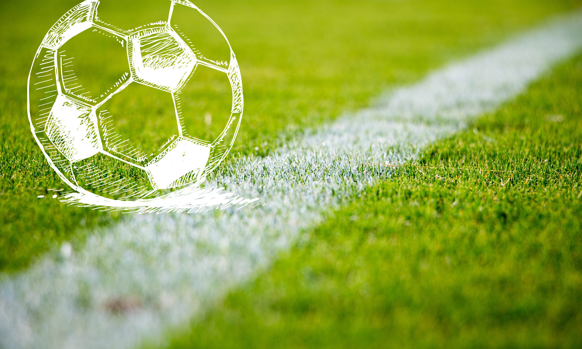 后场阵容深 后场阵容深