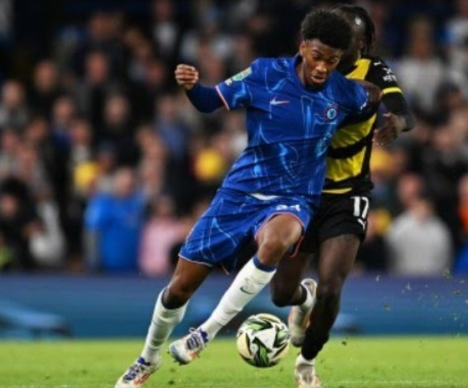 术专项课程 术专项课程