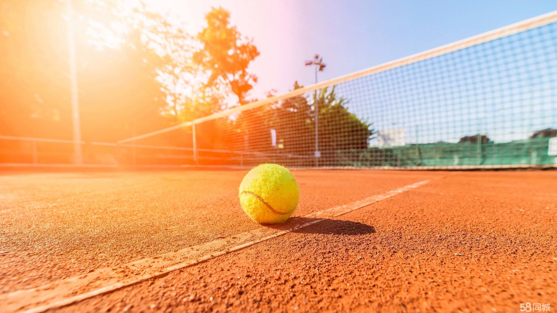 作为联盟中 作为联盟中