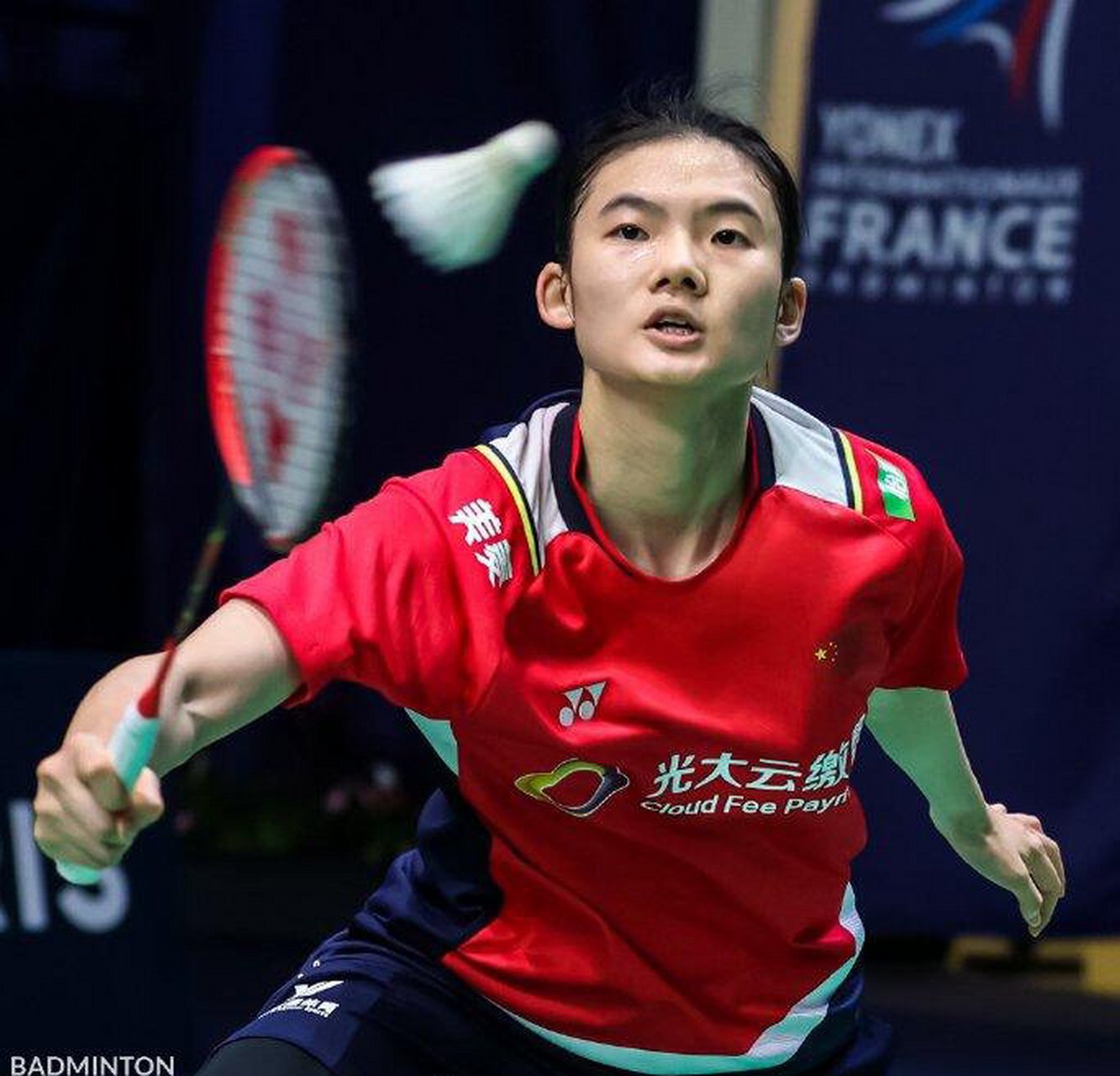 以往的案例 以往的案例