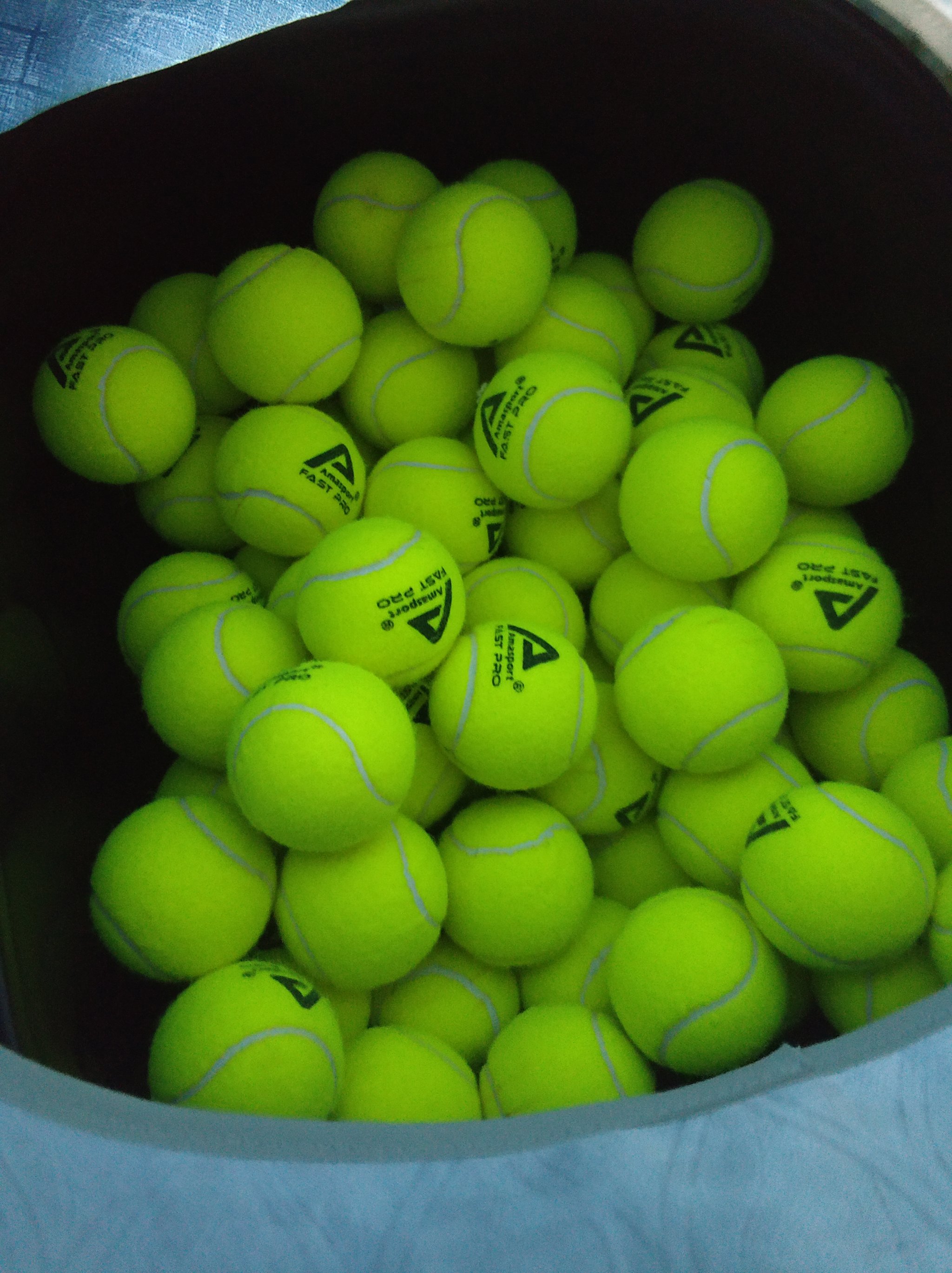 他们的成功 他们的成功